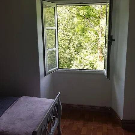Casa De La Mama トリアカステーラ